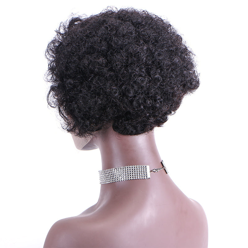 Lace Frontal Wig 100%Human Hair item#2028