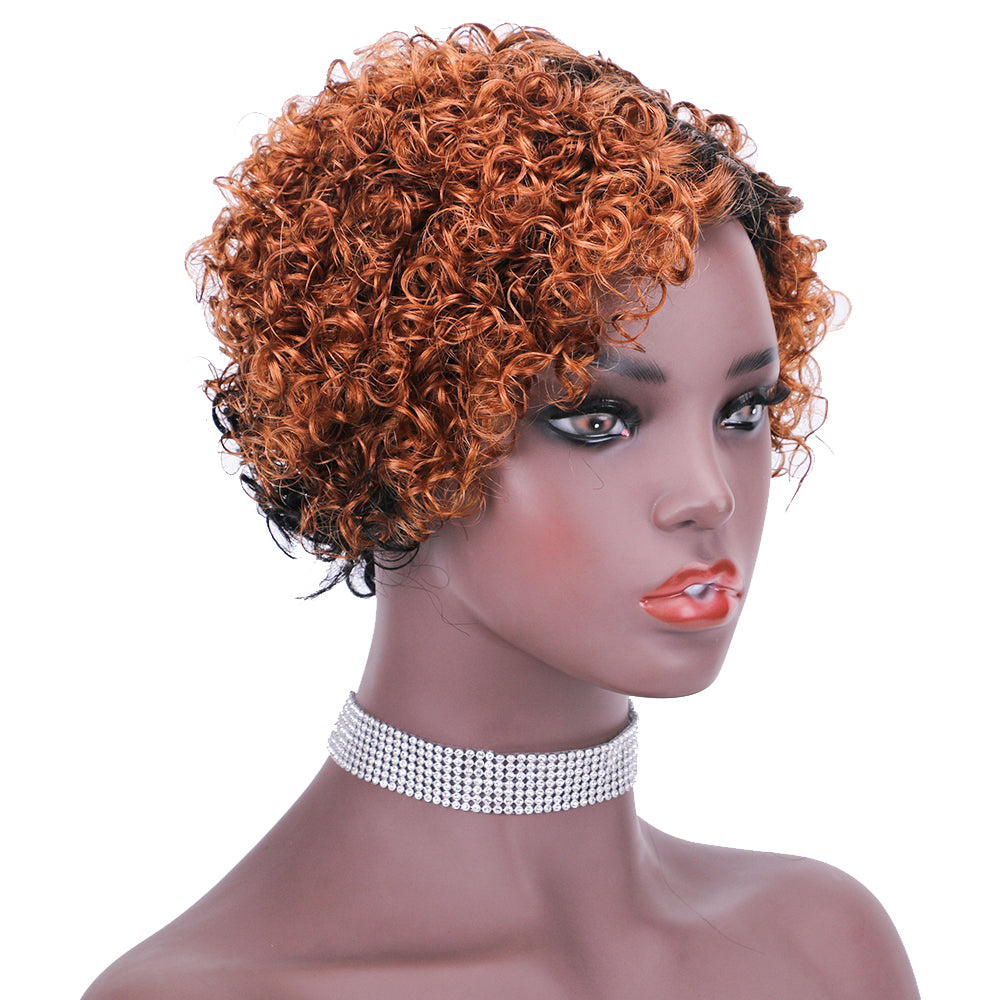 Lace Wig T Part 100%Human Hair Wig item#9131