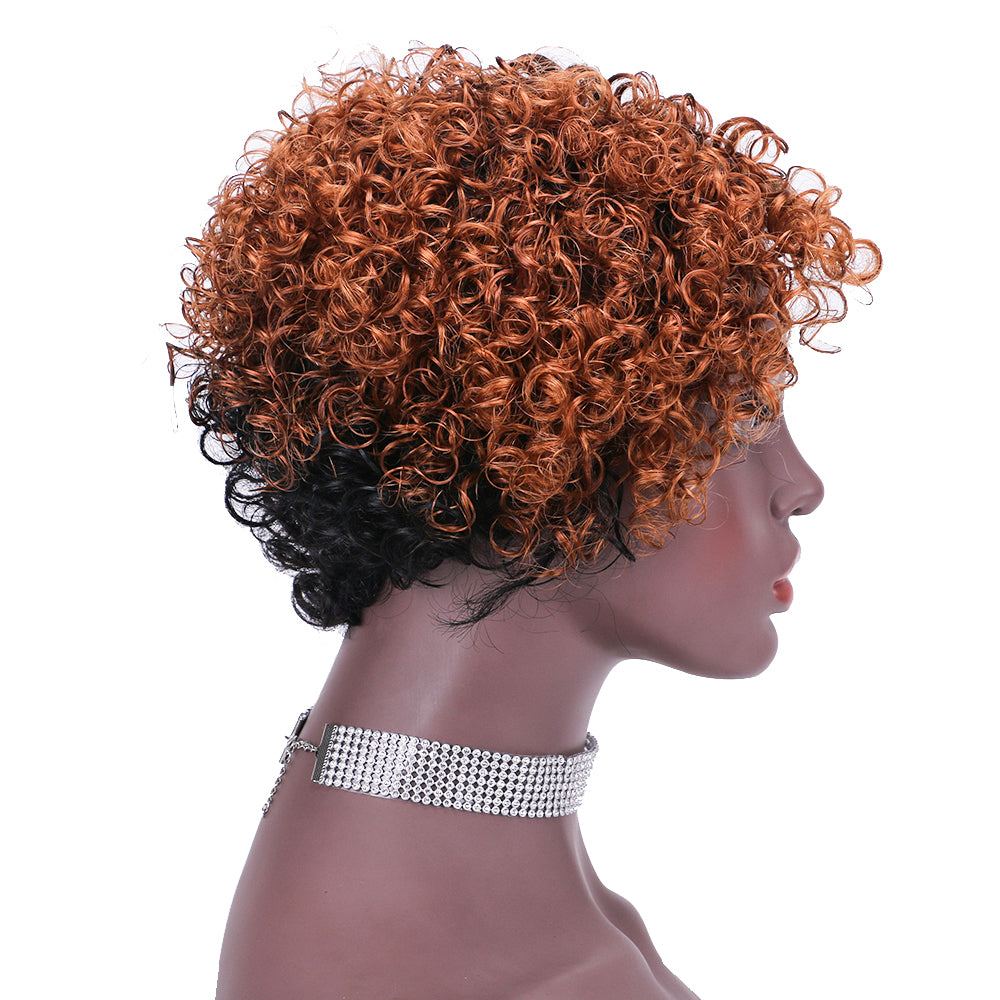 Lace Wig T Part 100%Human Hair Wig item#9131