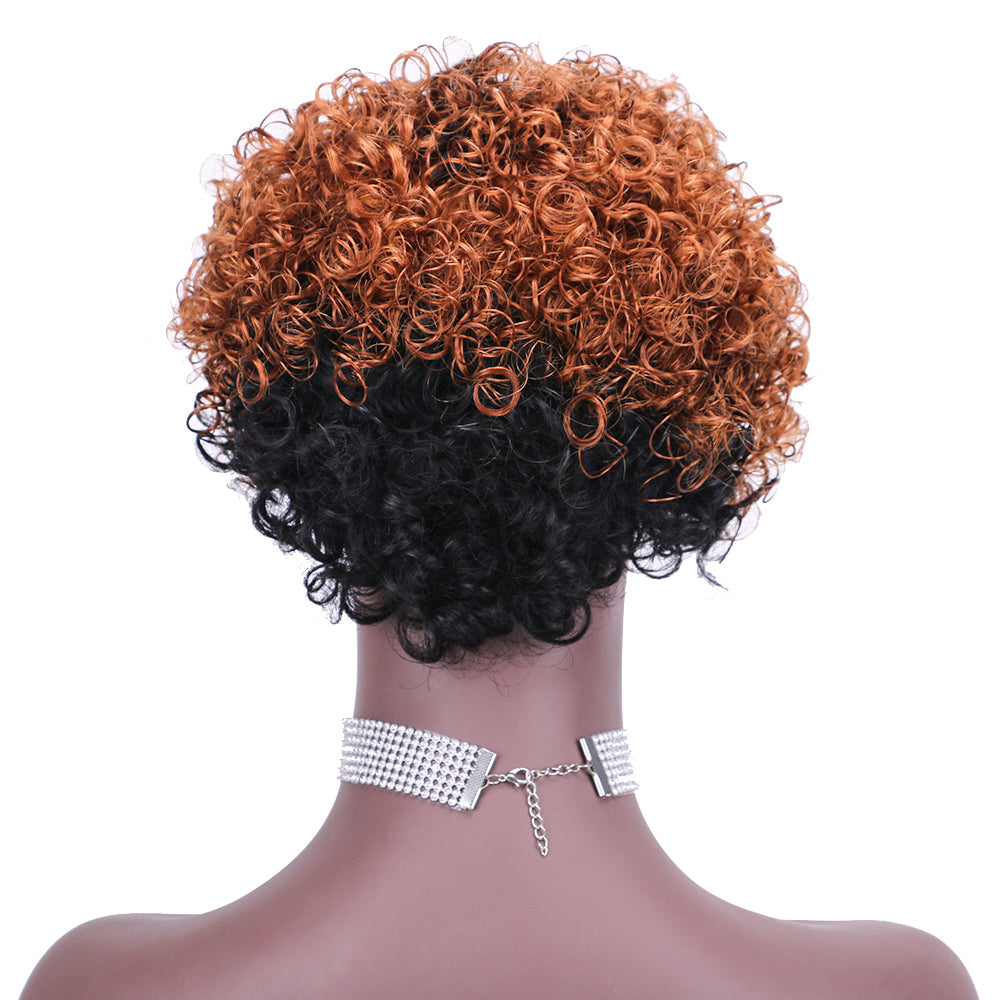 Lace Wig T Part 100%Human Hair Wig item#9131